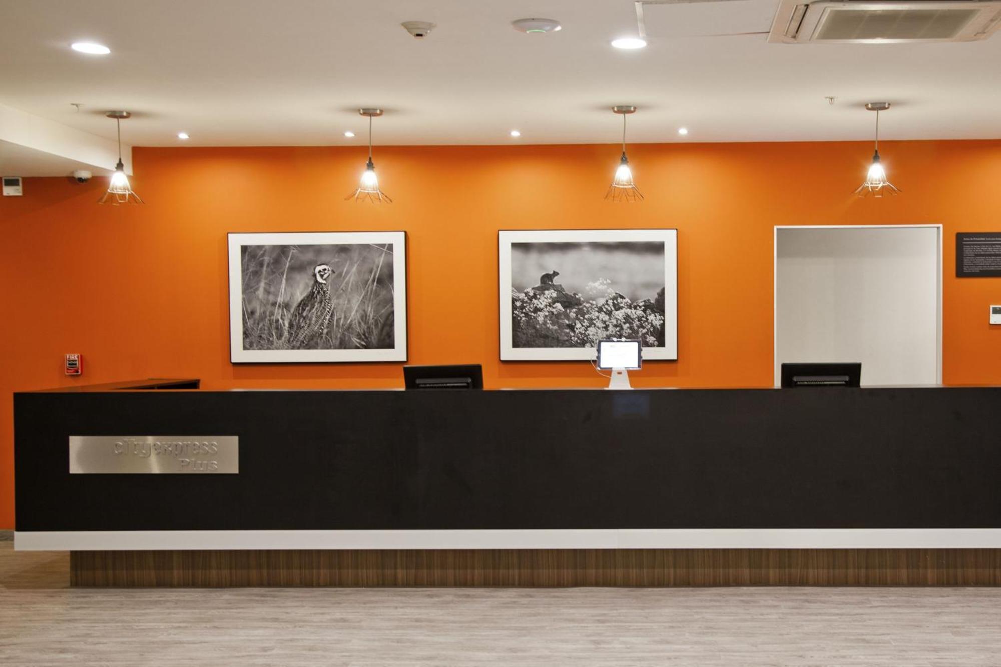 City Express Plus By Marriott Monterrey Nuevo Sur Bagian luar foto